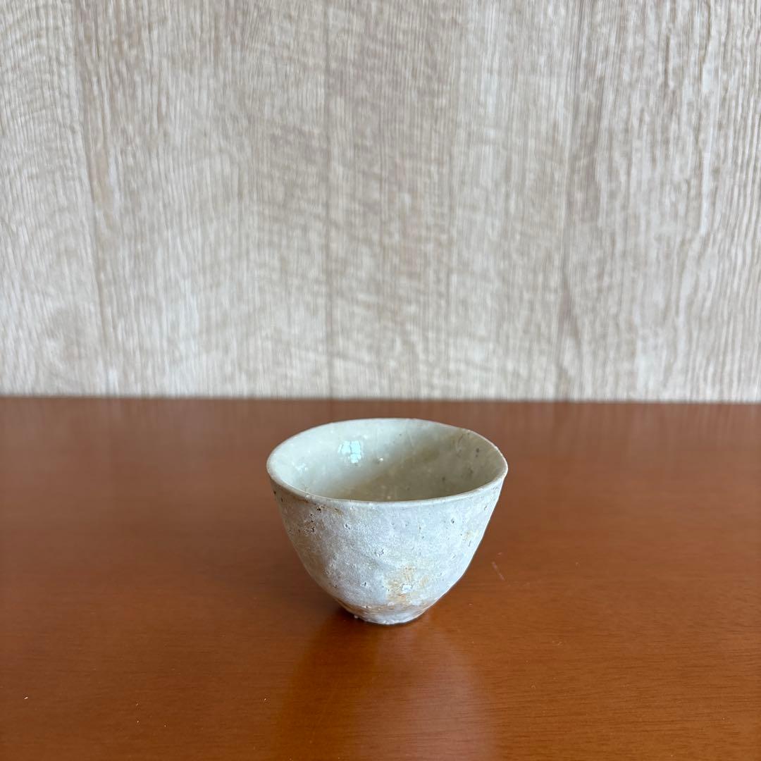 内田鋼一氏作 加彩盃