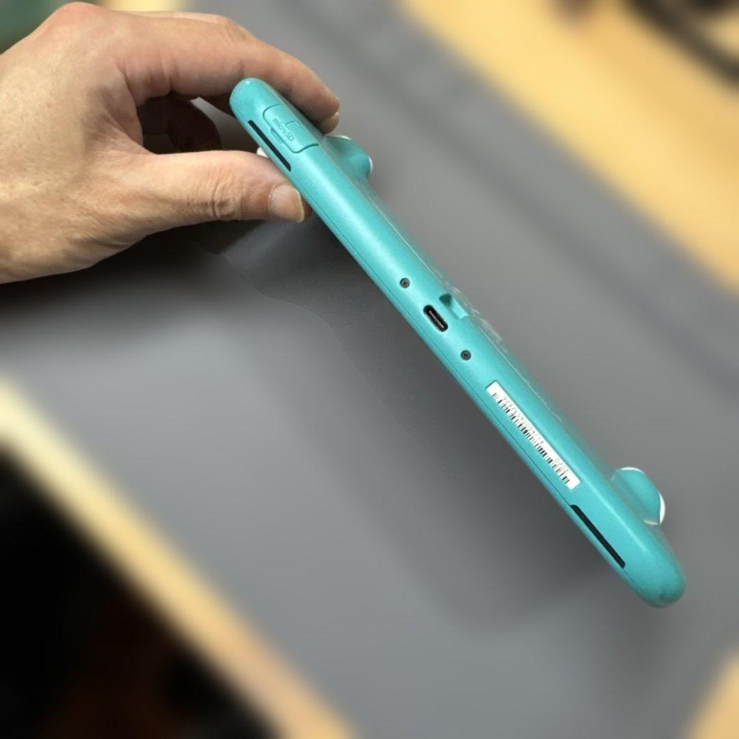 スイッチライト　Switchライト　画面滲みあり　ジャンク扱い　動作確認済み