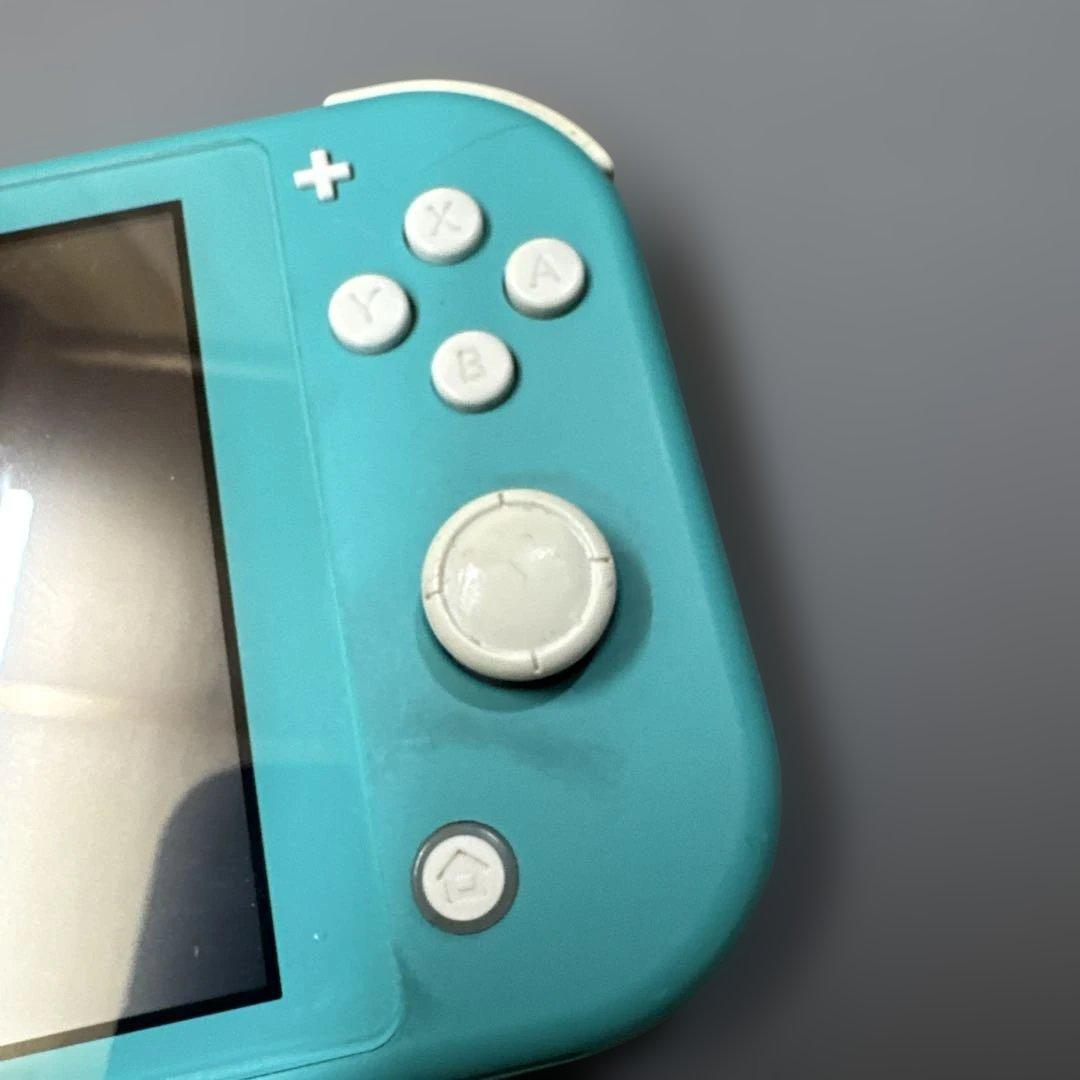 スイッチライト　Switchライト　画面滲みあり　ジャンク扱い　動作確認済み