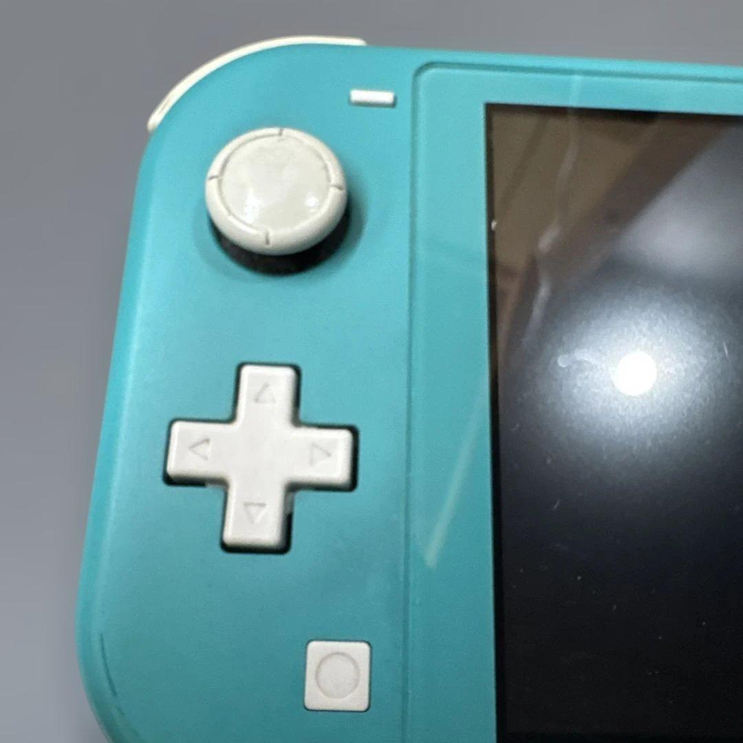 スイッチライト　Switchライト　画面滲みあり　ジャンク扱い　動作確認済み