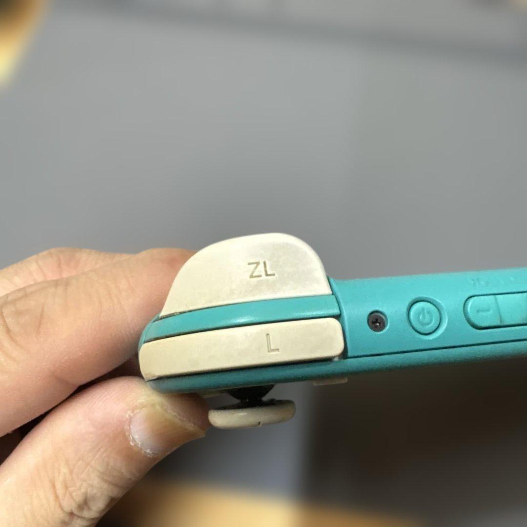 スイッチライト　Switchライト　画面滲みあり　ジャンク扱い　動作確認済み