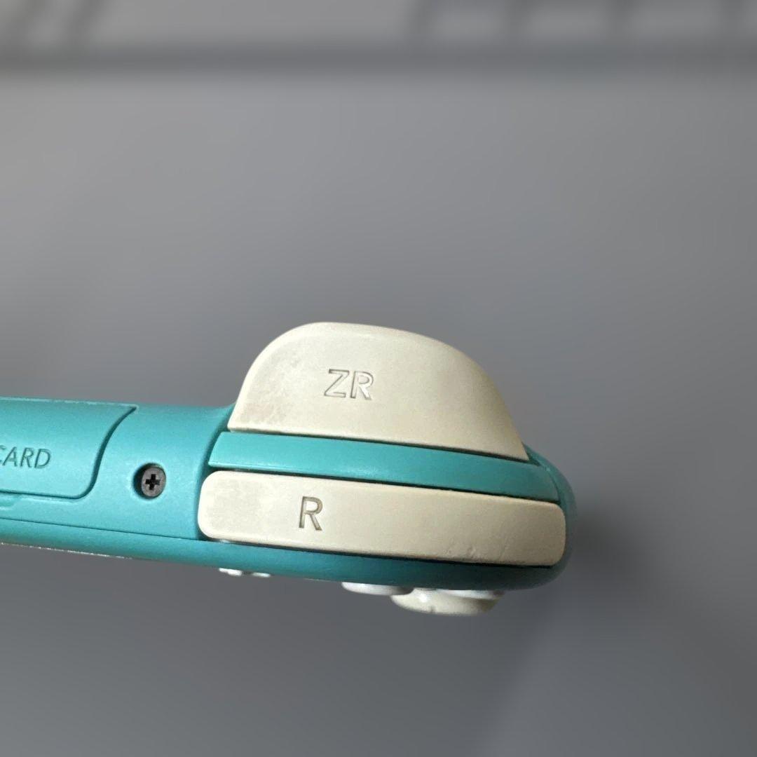 スイッチライト　Switchライト　画面滲みあり　ジャンク扱い　動作確認済み