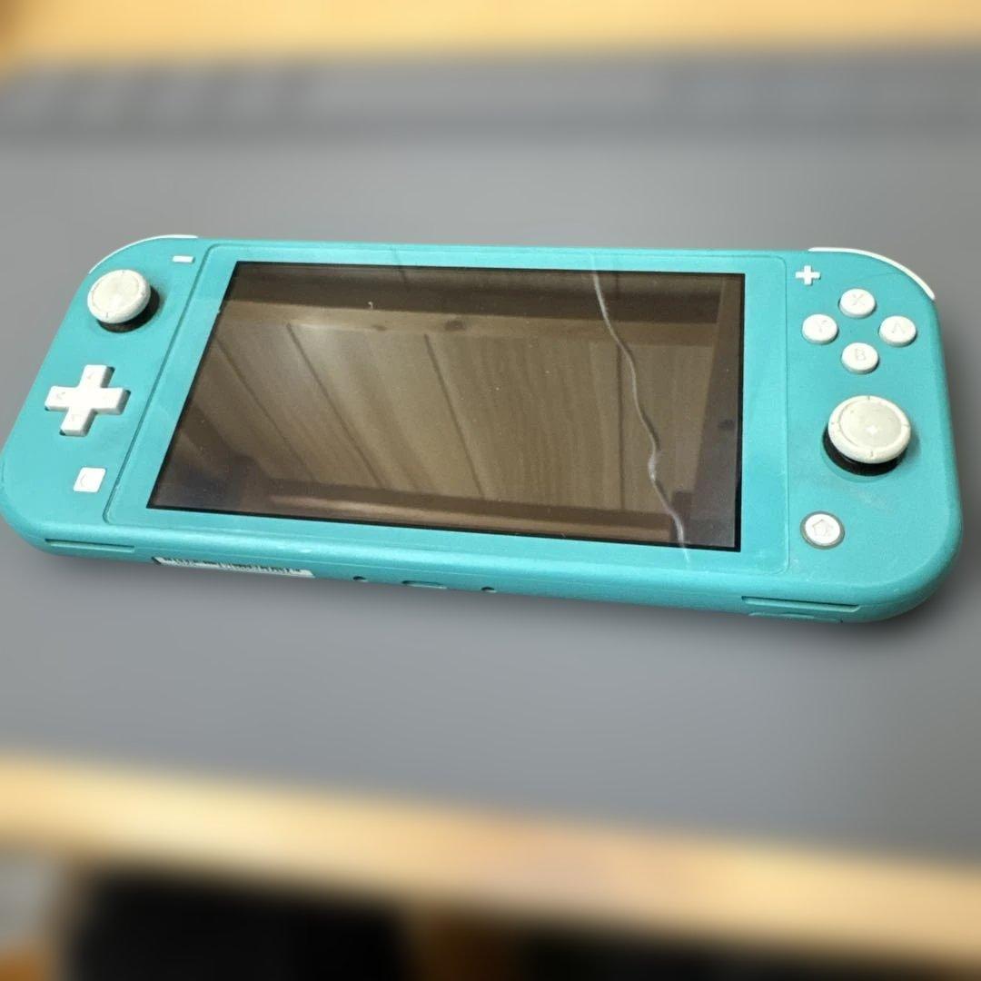 スイッチライト　Switchライト　画面滲みあり　ジャンク扱い　動作確認済み