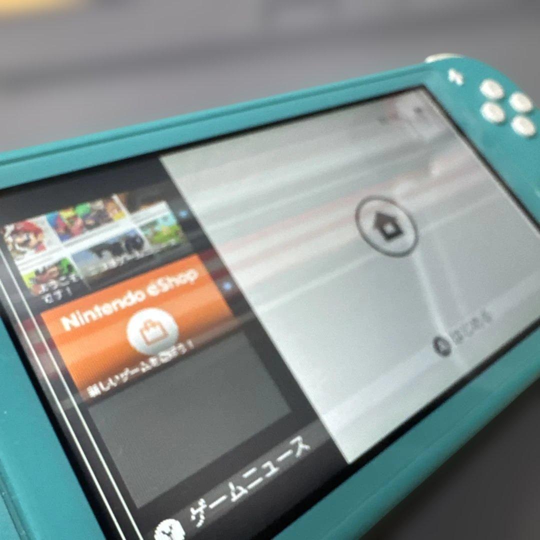 スイッチライト　Switchライト　画面滲みあり　ジャンク扱い　動作確認済み