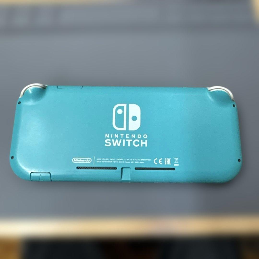 スイッチライト　Switchライト　画面滲みあり　ジャンク扱い　動作確認済み