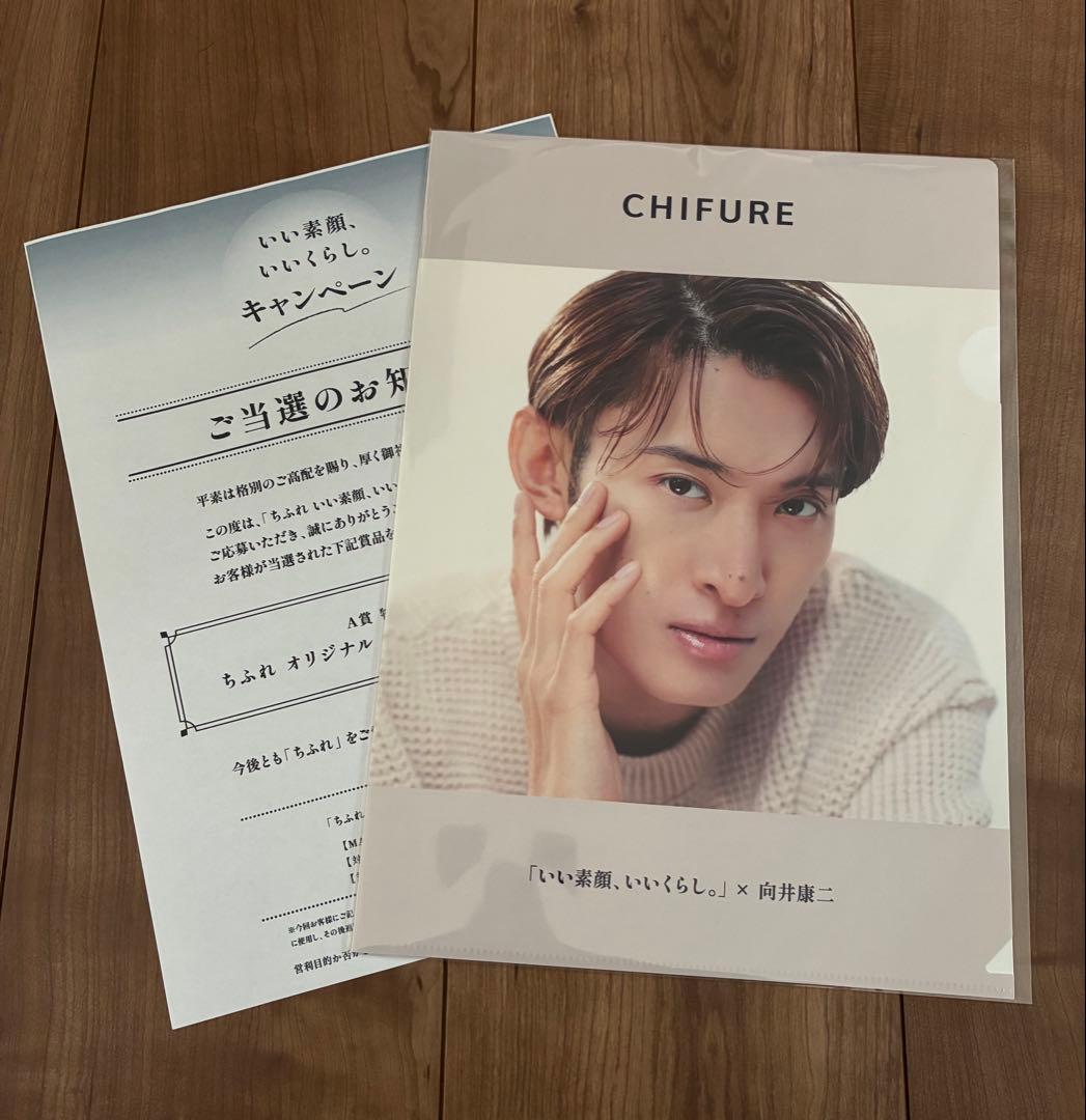 向井康二　ちふれ　クリアファイル　非売品