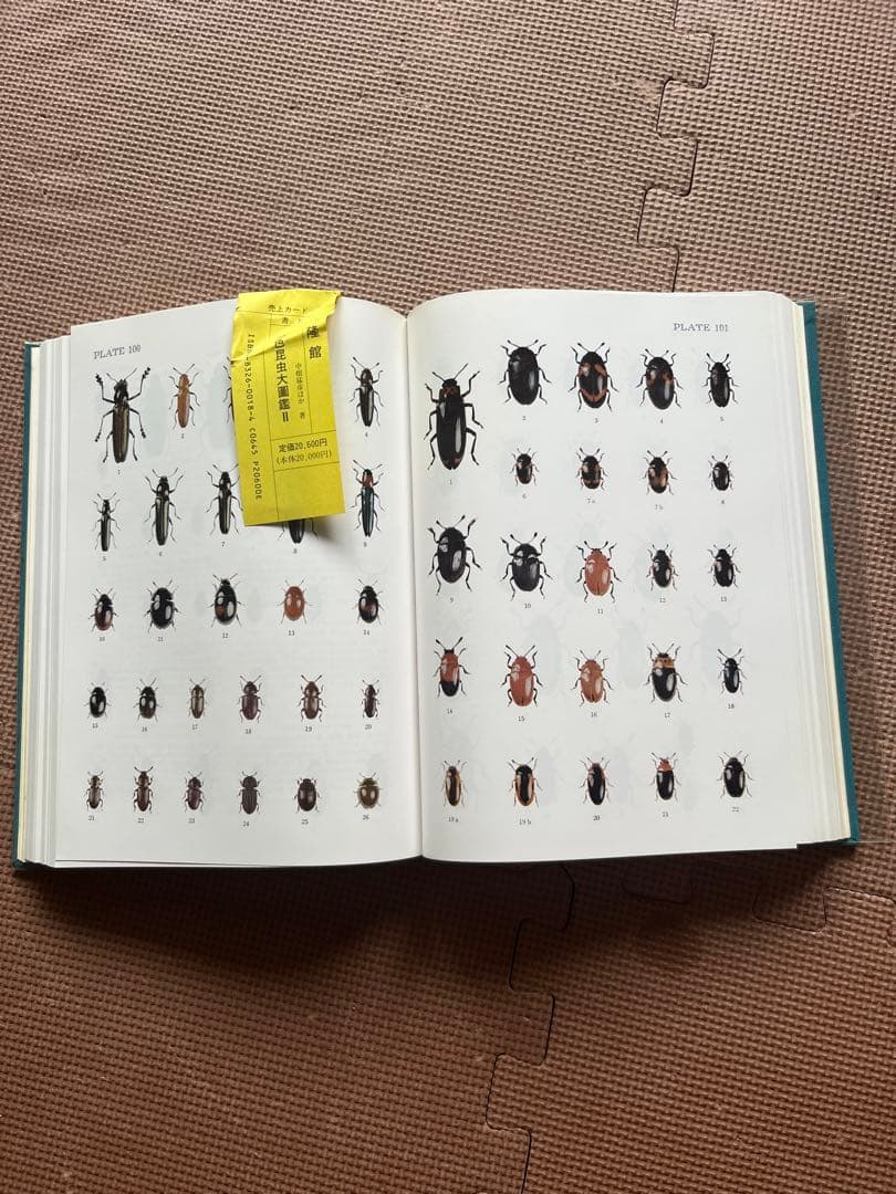 原色昆虫大図鑑 I & II (蝶・蛾& 甲虫) - 北隆館