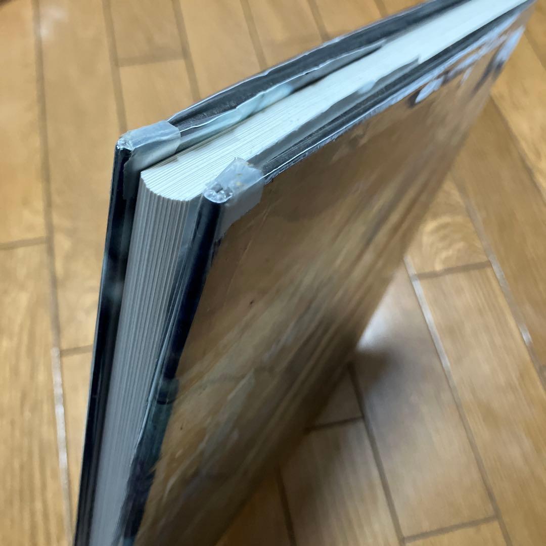 BRUCE DAVIDSON 写真集　SUBWAY