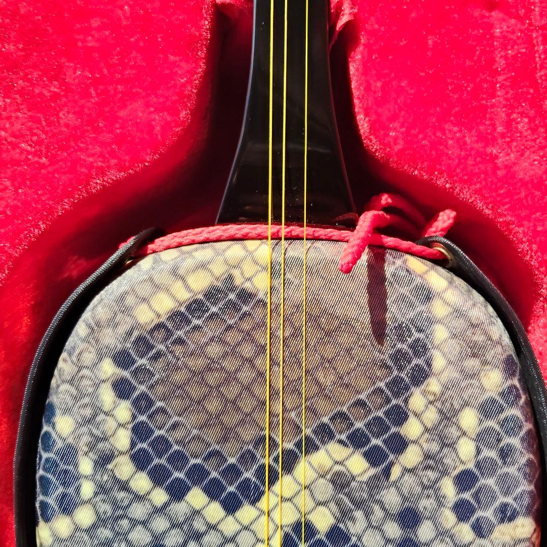 沖縄三線 蛇皮柄 人工皮 ハードケース付き 伝統楽器 さんしん 民族楽器 初心者