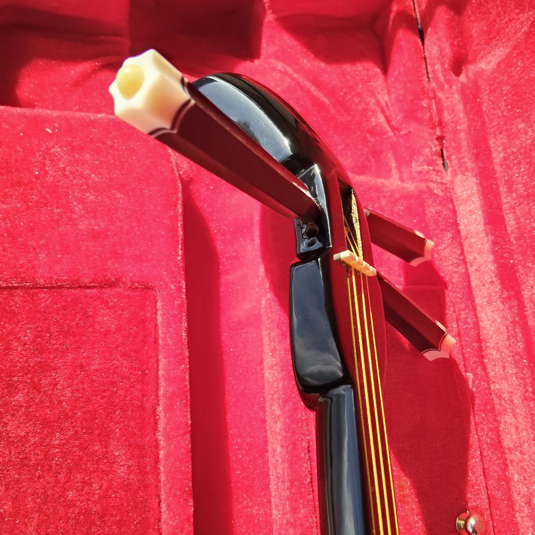 沖縄三線 蛇皮柄 人工皮 ハードケース付き 伝統楽器 さんしん 民族楽器 初心者