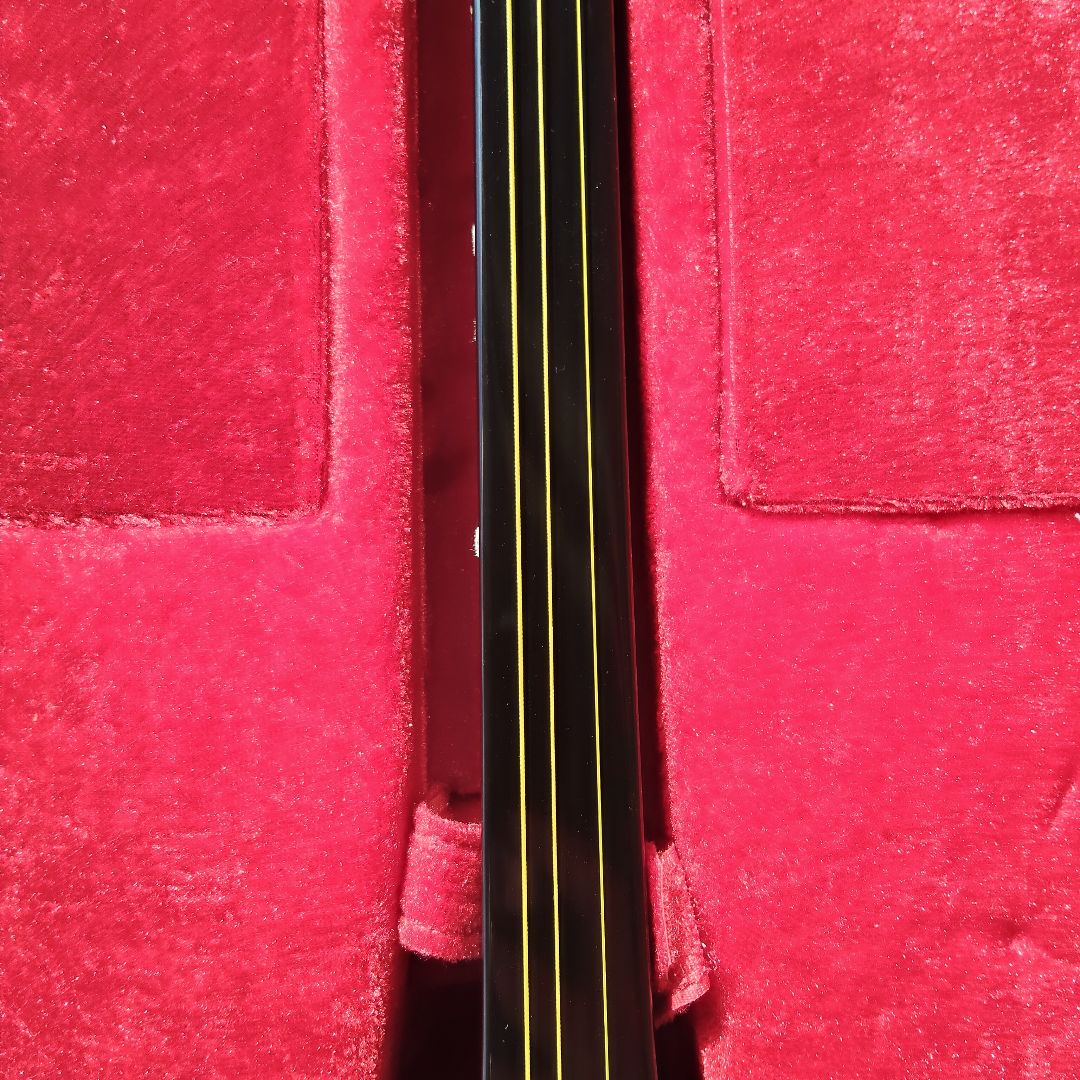 沖縄三線 蛇皮柄 人工皮 ハードケース付き 伝統楽器 さんしん 民族楽器 初心者