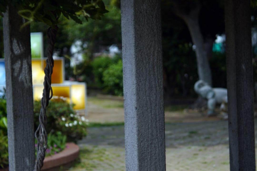 23　未使用　バブルボケレンズ　Diaplan（Pentacon)80mmM42