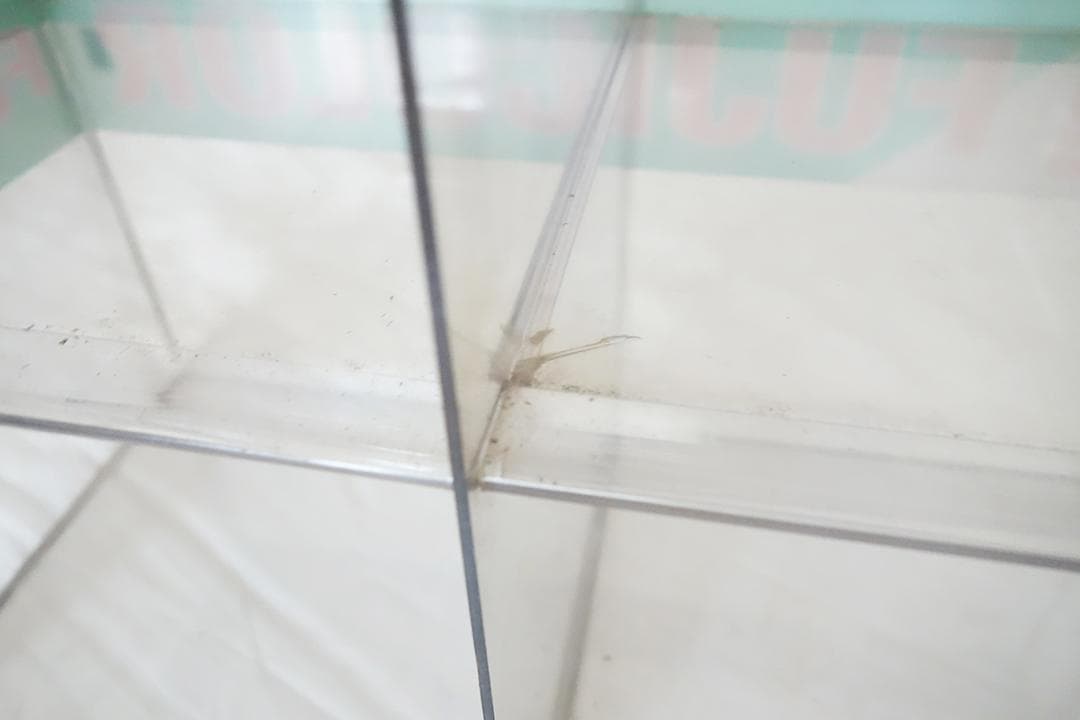 FUJICOLOR フジカラー 店舗用 陳列什器 　Q989