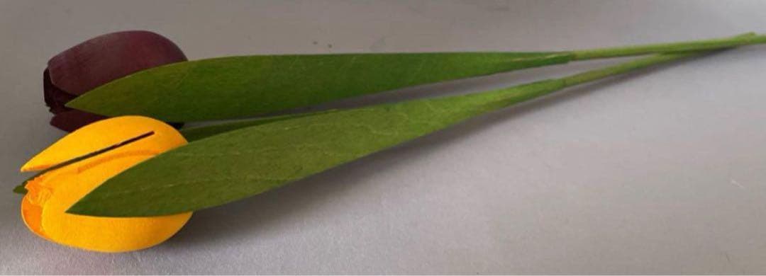 フィンランド 木製チューリップ切花タイプ20本