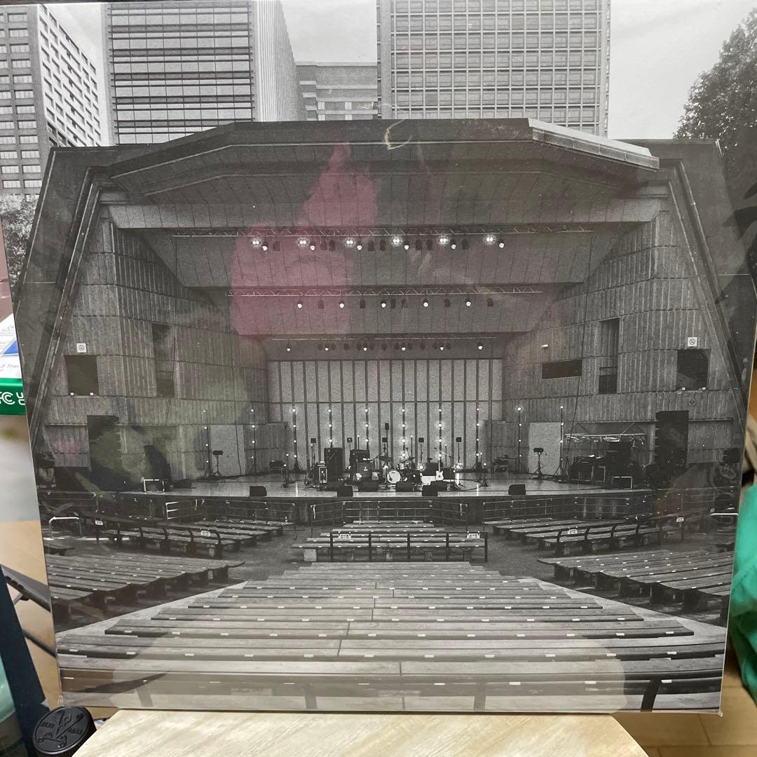 新品未開封品　LPレコード カネコアヤノ　野音