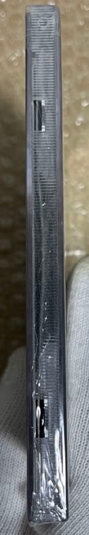 Leviathan デスコア　デスメタル　セルフリリース盤　CD 1点のみ　新品