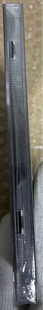 Leviathan デスコア　デスメタル　セルフリリース盤　CD 1点のみ　新品