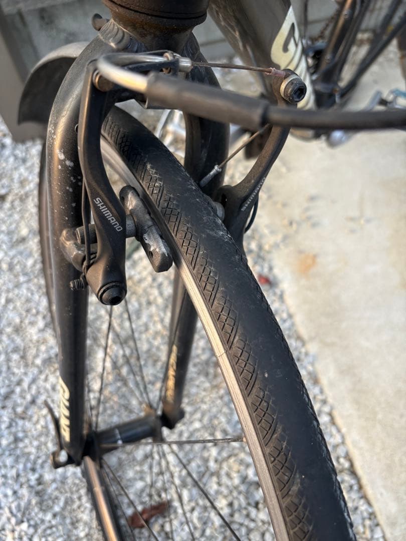 こっけ　　　　　　　　　　　GIANT ESCAPER X Mサイズ