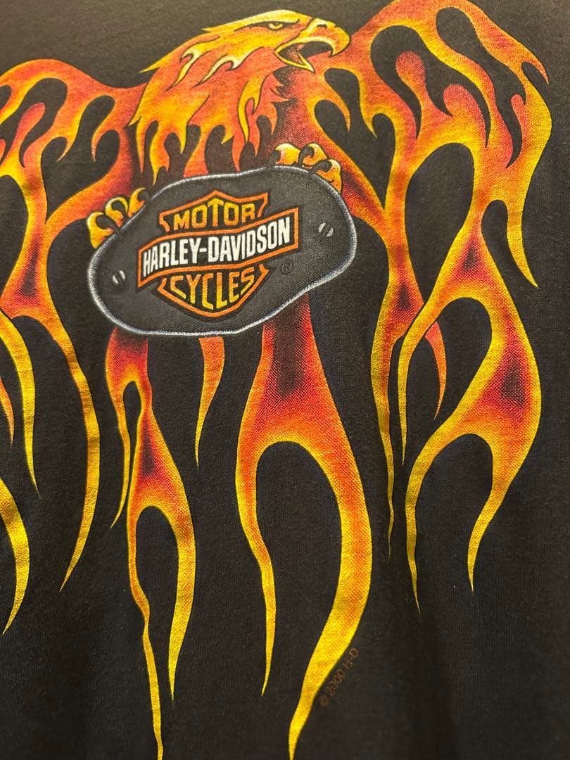 HarleyDavidson ハーレーダビッドソン フレイム ファイヤーパターン