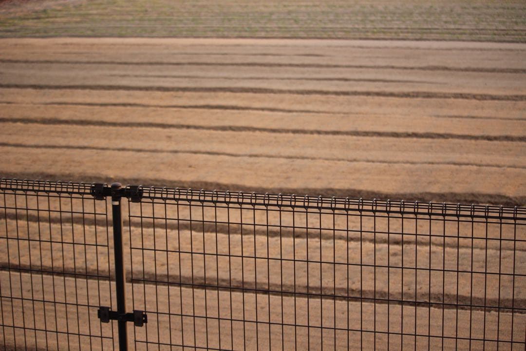 【美品】Canon EF-S 55-250mm IS STM 手ぶれ補正 望遠