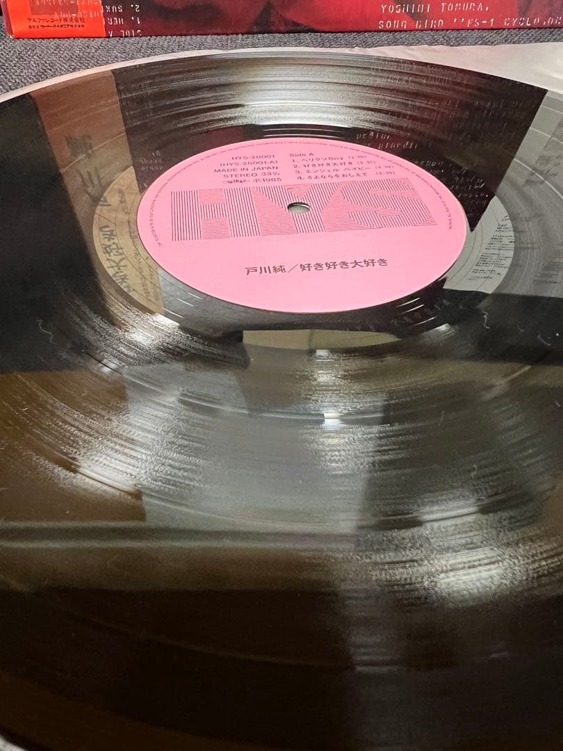 Jun Togawa – Suki Suki Daisuki LP+EP 邦楽