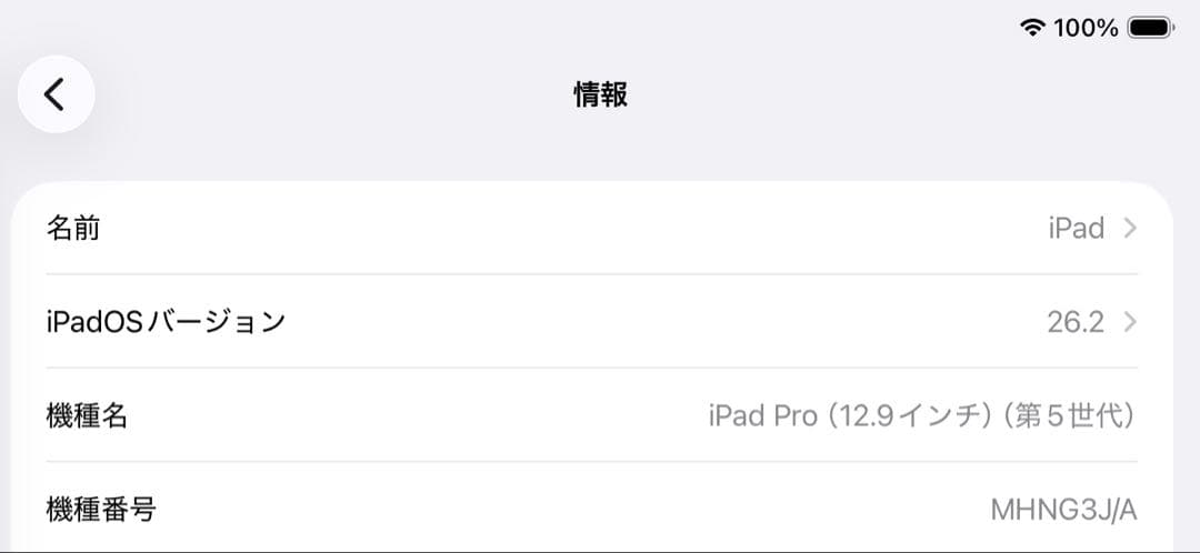 iPad Pro（12.9インチ）（第5世代）M1 バッテリー最大容量86%