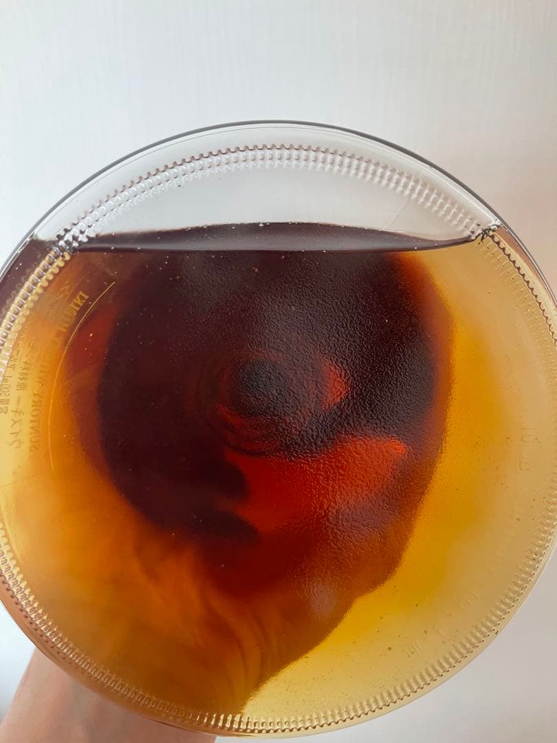 ヤ*コ様 サントリーウイスキー 響 楽器ボトル ホルン型 500ml 43％