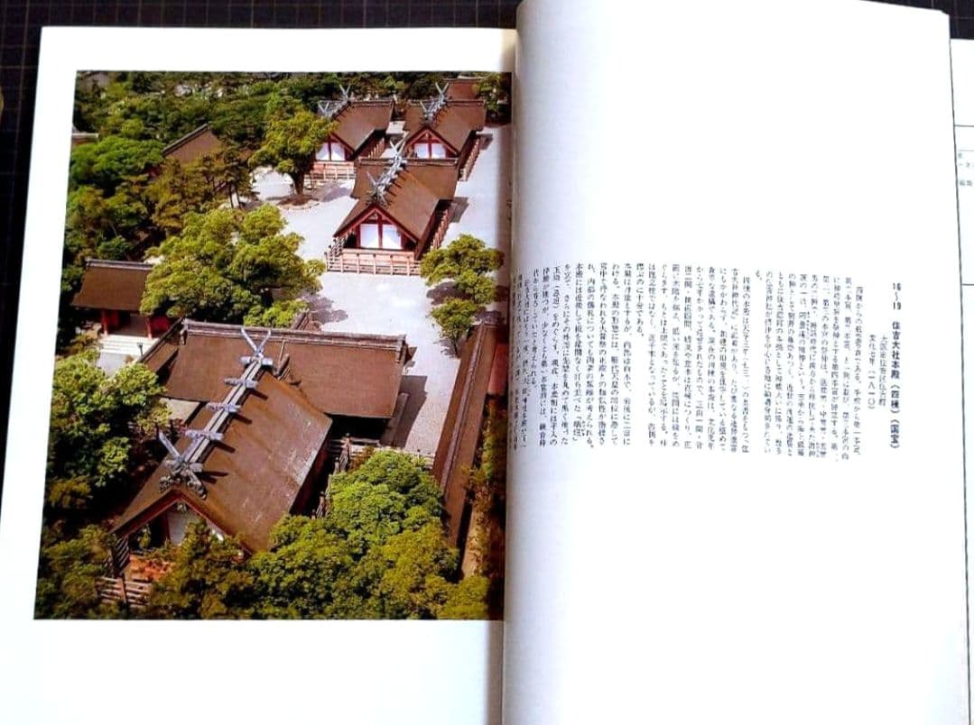 [初版]大阪府 神社本殿遺構集成