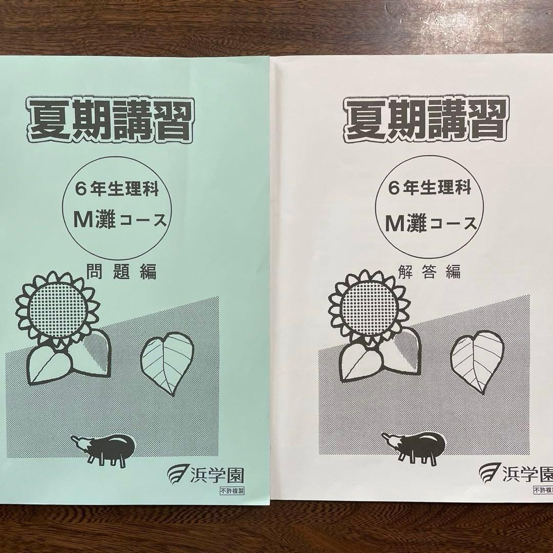 【浜学園】小6 夏期講習 灘コース（Ｍ灘）