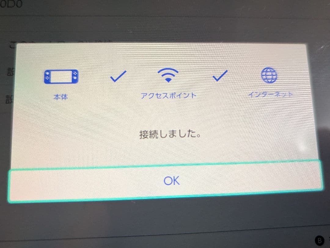 Nintendo Switch 2017年製 未対策機