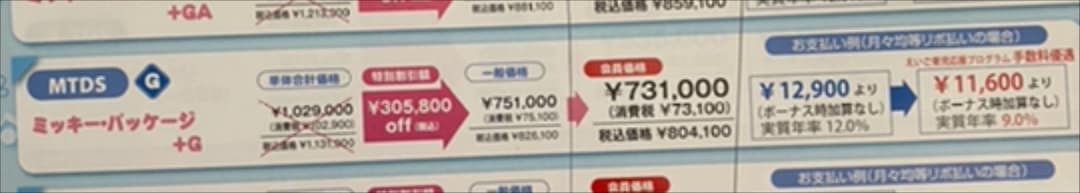 ディズニー英語システムMTDS GミッキーパッケージG