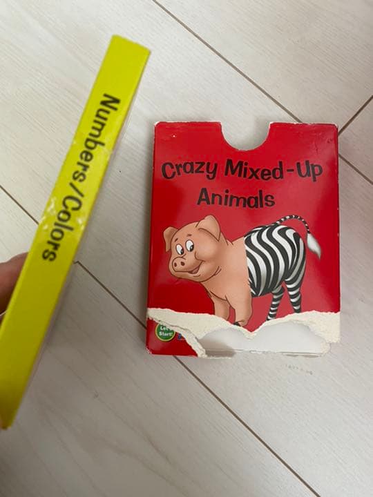 ディズニー英語システムMTDS GミッキーパッケージG