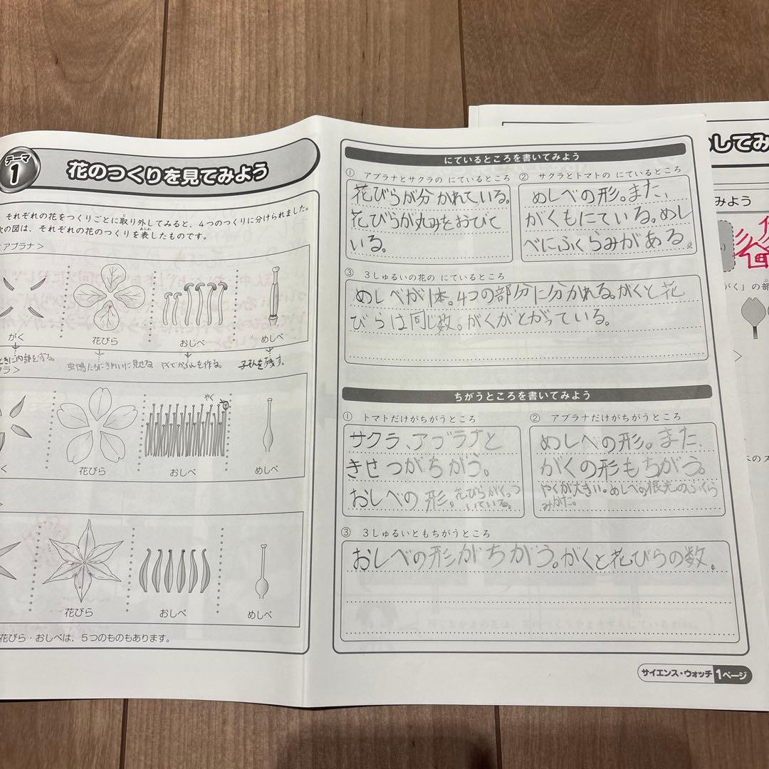 SAPIX 3年理科・社会　Daily Sapix 教材セット