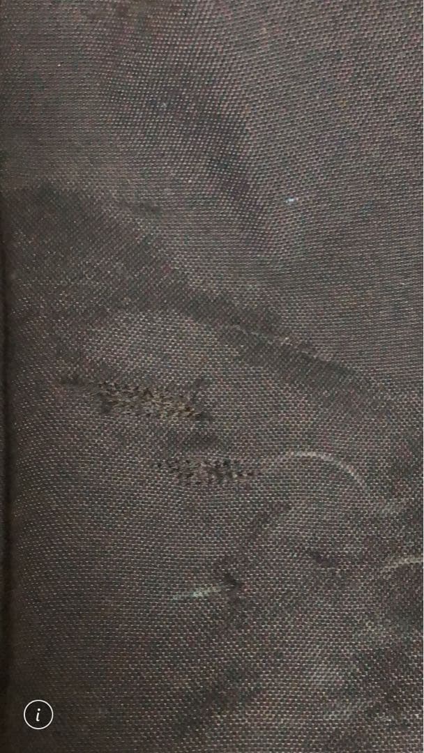 スキー peak performance gravity pants S