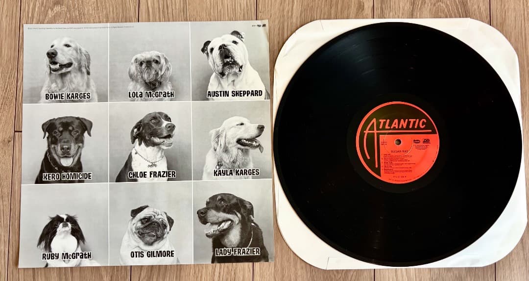 Sugar Ray レコード　アナログ