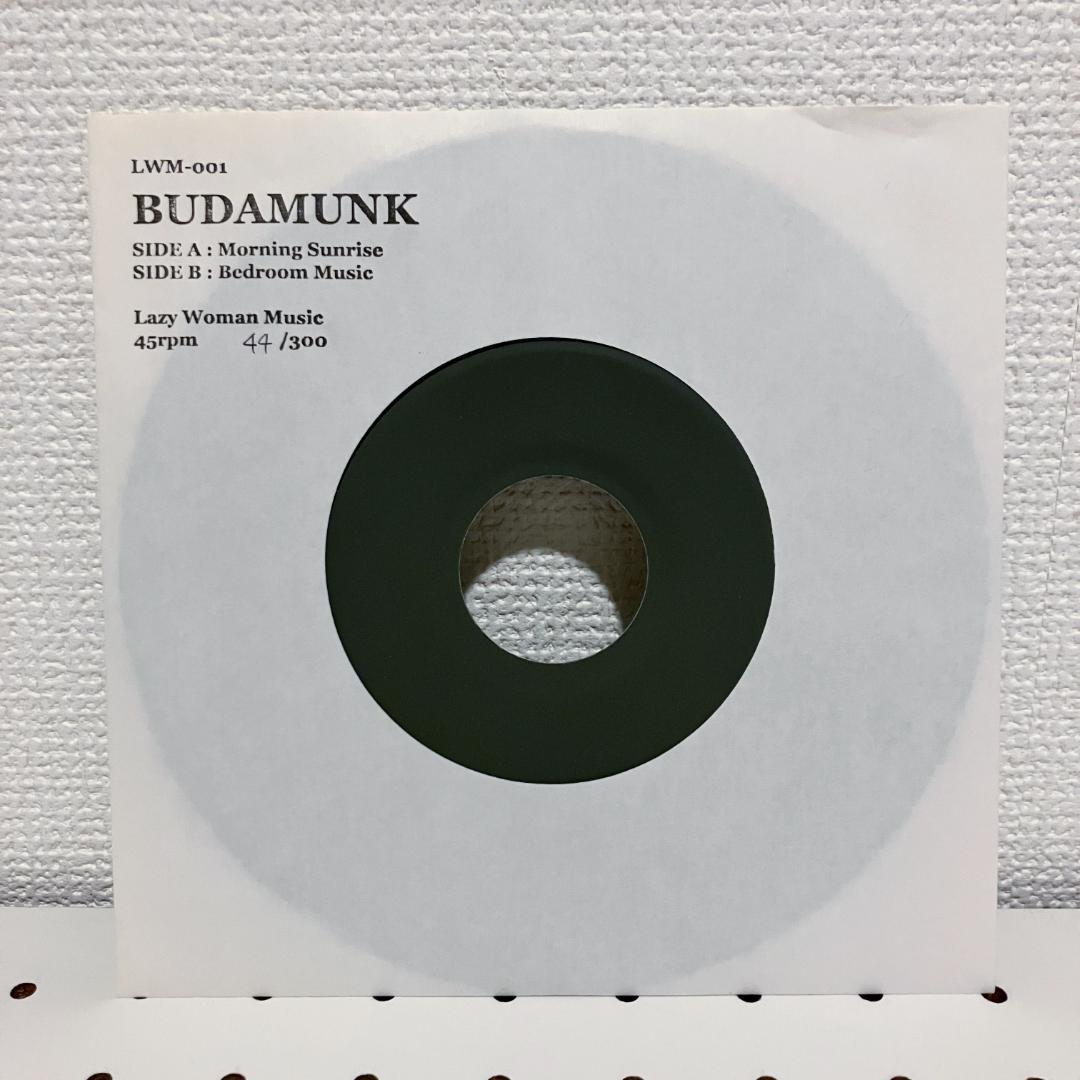 Lazy Woman 7インチ 16枚セット EVISBEATS PUNPEE