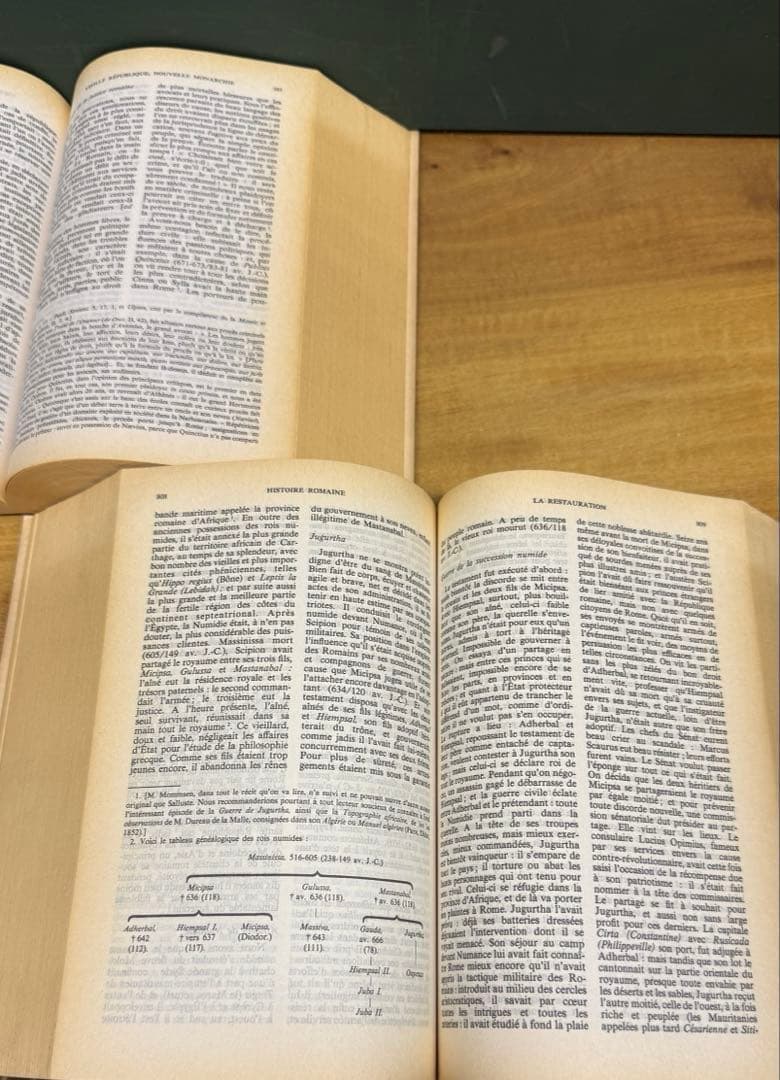 ローマ史 Mommsen Histoire Romaine フランス語