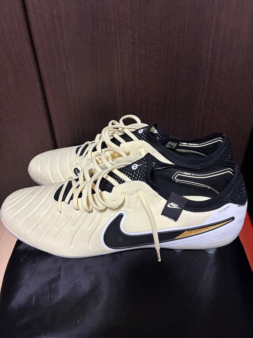 ナイキ ティエンポ レジェンド 10 エリート AG-PRO