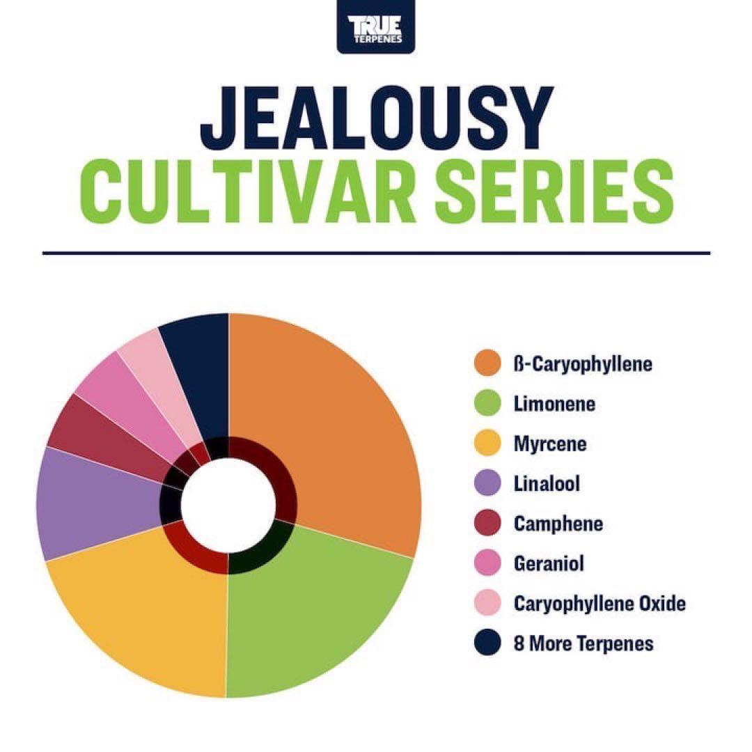 TRUE テルペン 香料 CBD CBN CBG 5ml ジェラシー