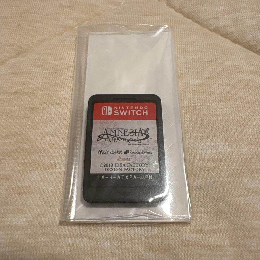 AMNESIA LATER×CROWD Switch