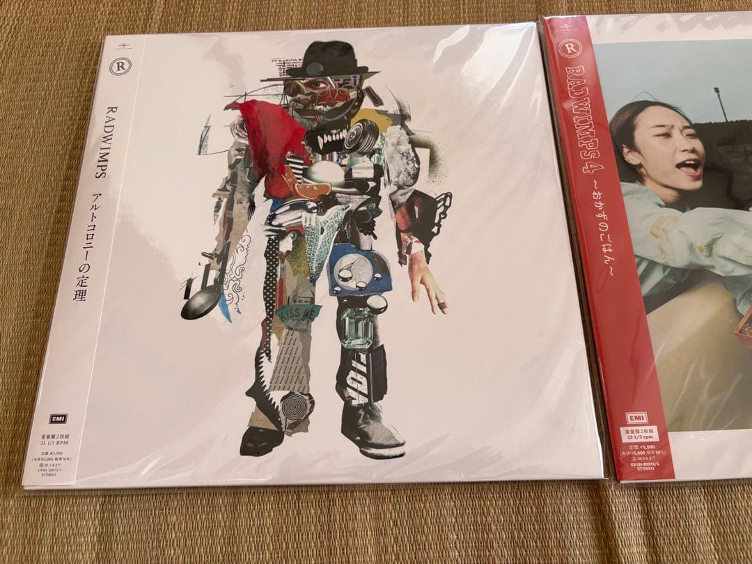 新品RADWIMPS レコード2枚セット　おかずのごはん