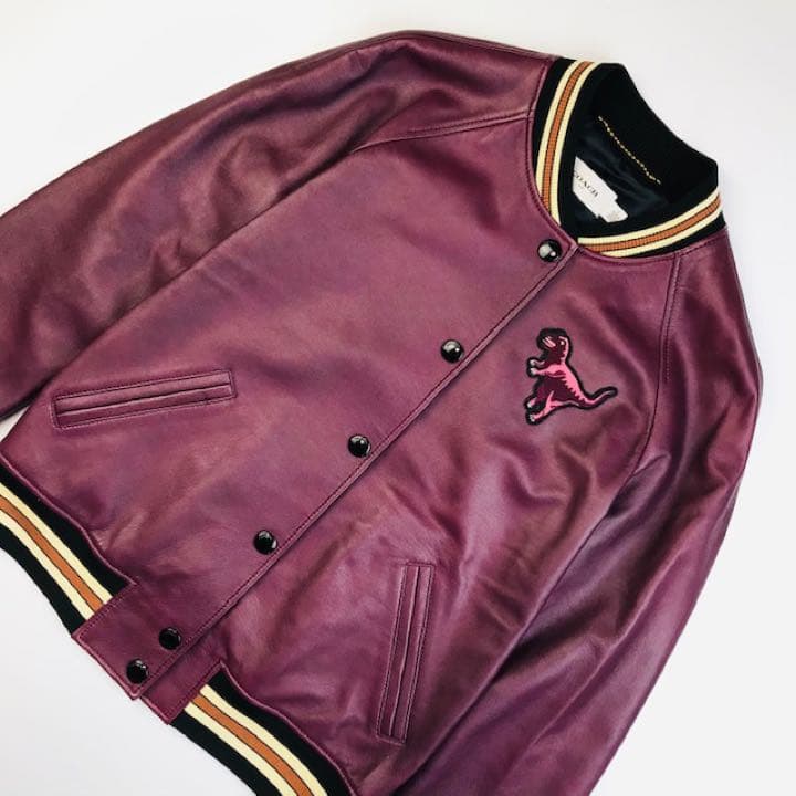 美品★COACH・ニットリブ切替 恐竜ワッペン付 レザージャケット(2)