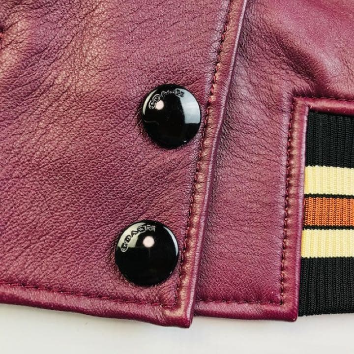 美品★COACH・ニットリブ切替 恐竜ワッペン付 レザージャケット(2)