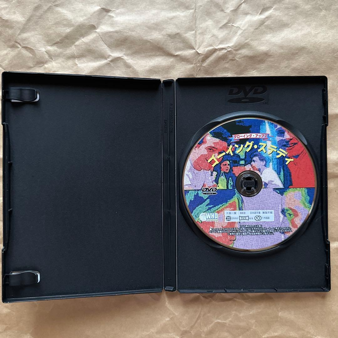 Lemon Popsicle & ゴーイング・ステディ DVDセット