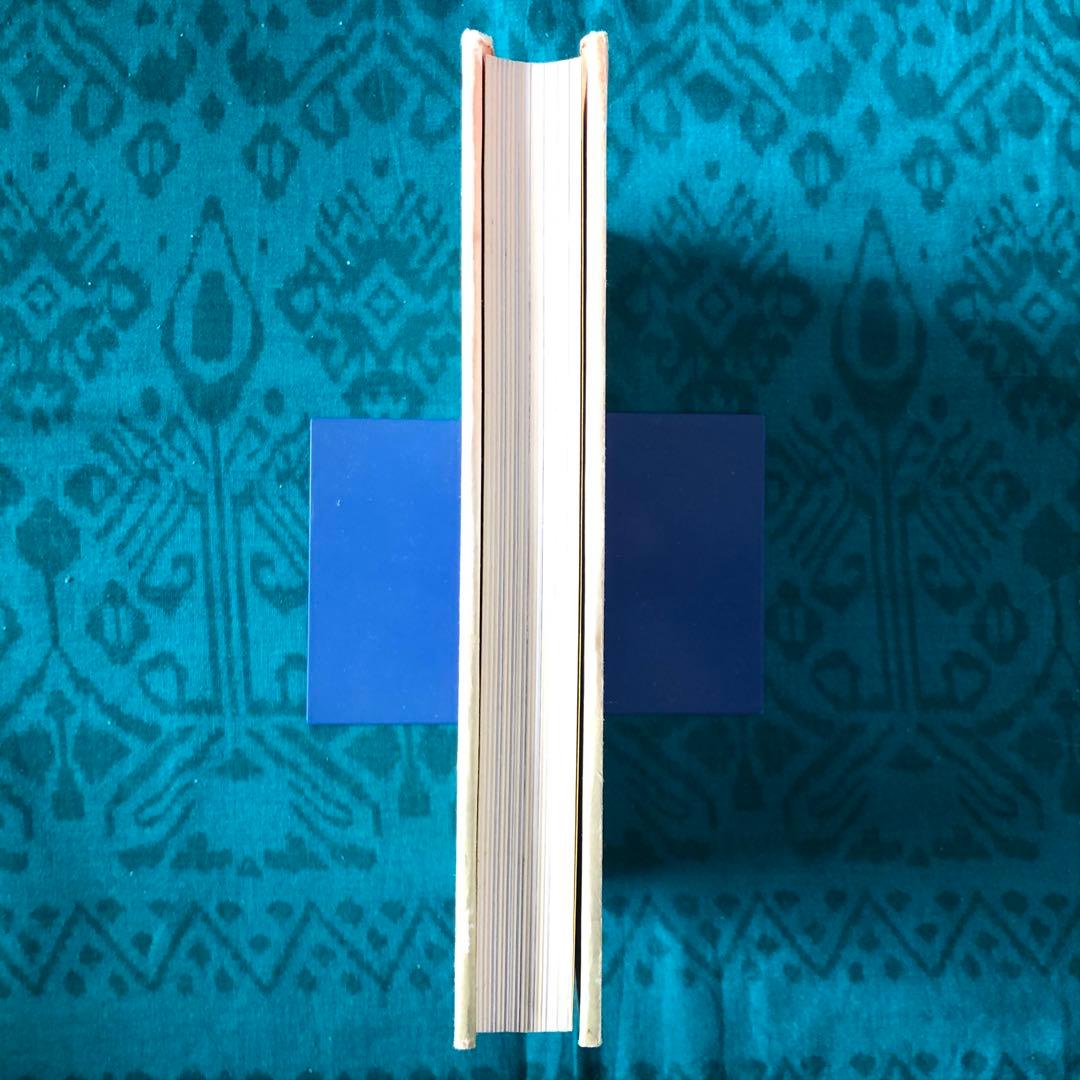 【絶版・希少】妙なる畑に立ちて　川口由一