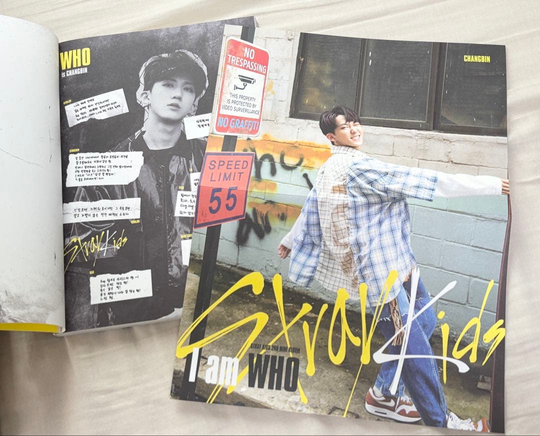 Stray Kids スキズ CD・アルバム　まとめ売り　限定盤有り　20枚
