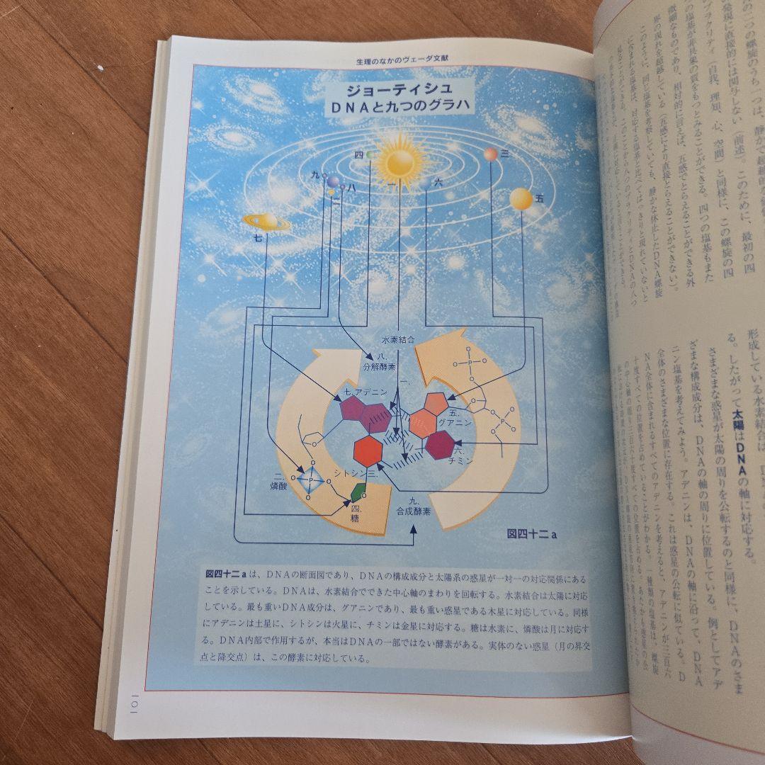 人間の生理 トニー・ネイダー