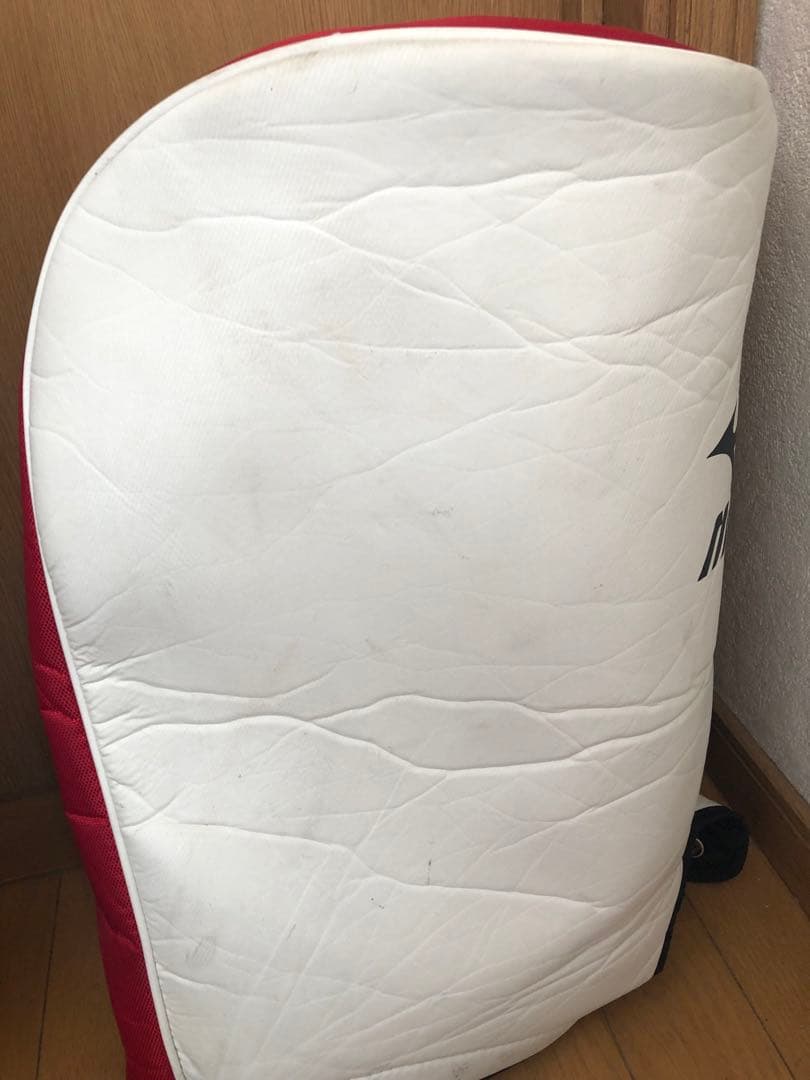 【送料込み】廃盤　MIZUNO ミズノ ゴルフバッグ キャディバッグ 5分割