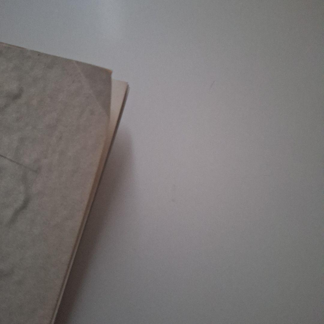 安室奈美恵　たかの友梨　エステパンフレット