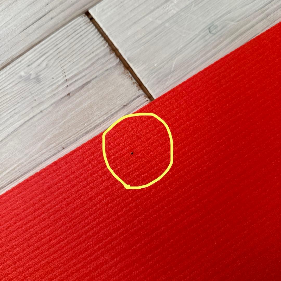 マンドゥカ　PRO lite プロライト ヨガマット (5mm)オレンジ